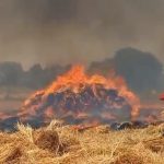 दो गांवों की हजारों बीघा जमीन की फसलें आग में जलकर हुई स्वाहा